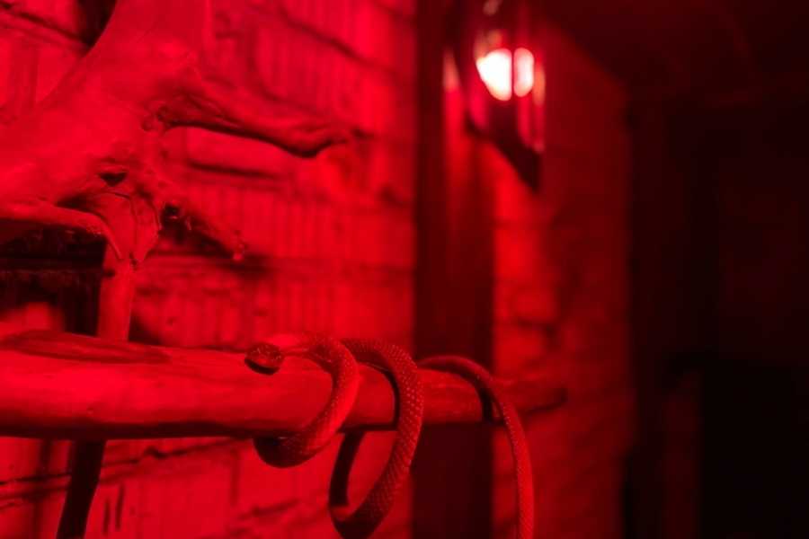 Квест в реальности Дом ведьмы от компании Нас закрыли Квест в реальности Дом ведьмы от компании Нас закрыли